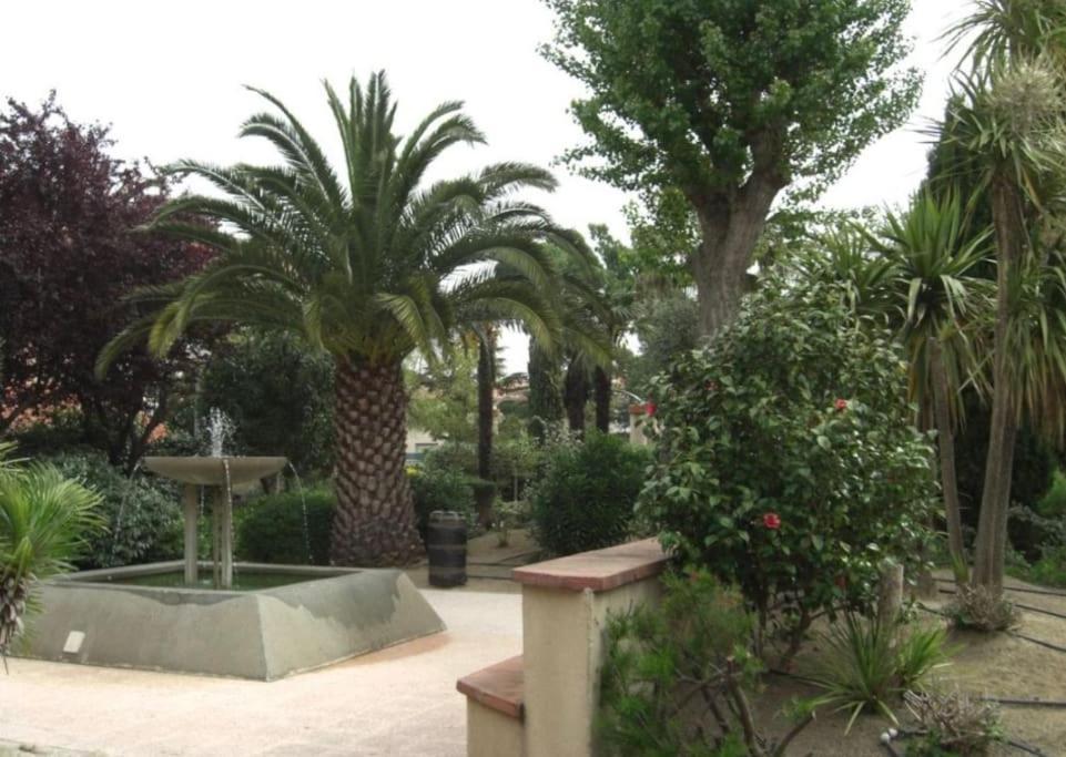 La Brise Marine ~ 300M Mer~Piscine~Clim~Wifi~Calme Argelès-sur-Mer Extérieur photo